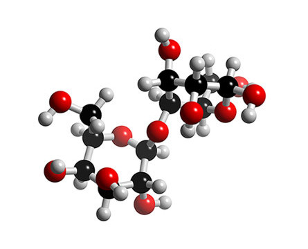 Lactose 100grs 100grs Lactose Quimicos 