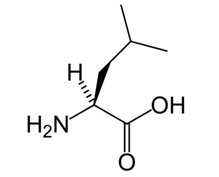 Leucina 5grs 5grs Leucina Quimicos 