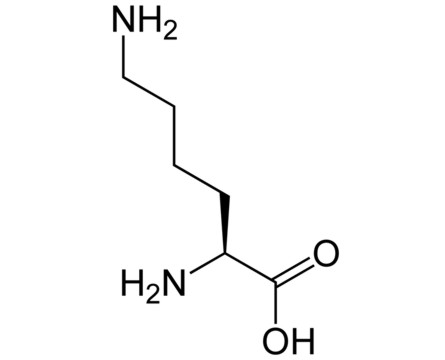 Lisina Lisina Quimicos 