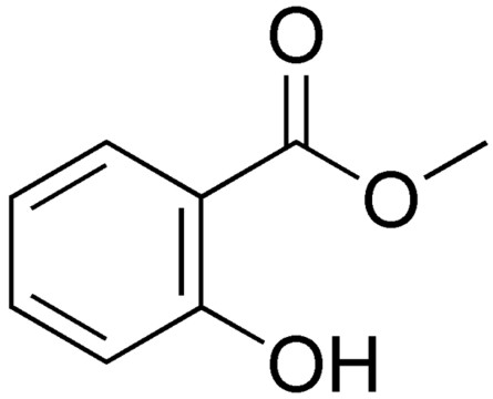 Salicilato de Metilo 100ml 100ml Salicilatos Quimicos 