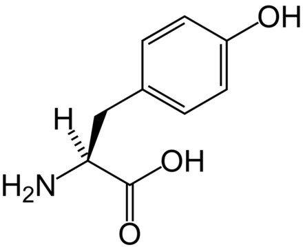 Tirosina Tirosina Quimicos 