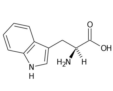 Triptofano Triptofano Quimicos 